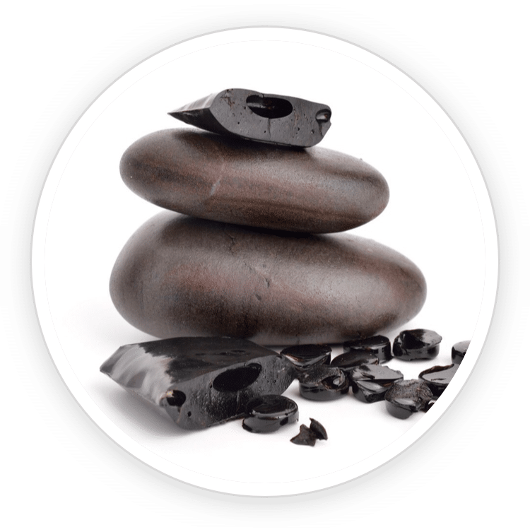 A circular close-up image of dark, purified Shilajit resin pieces stacked with smooth stones on a clean white background.
