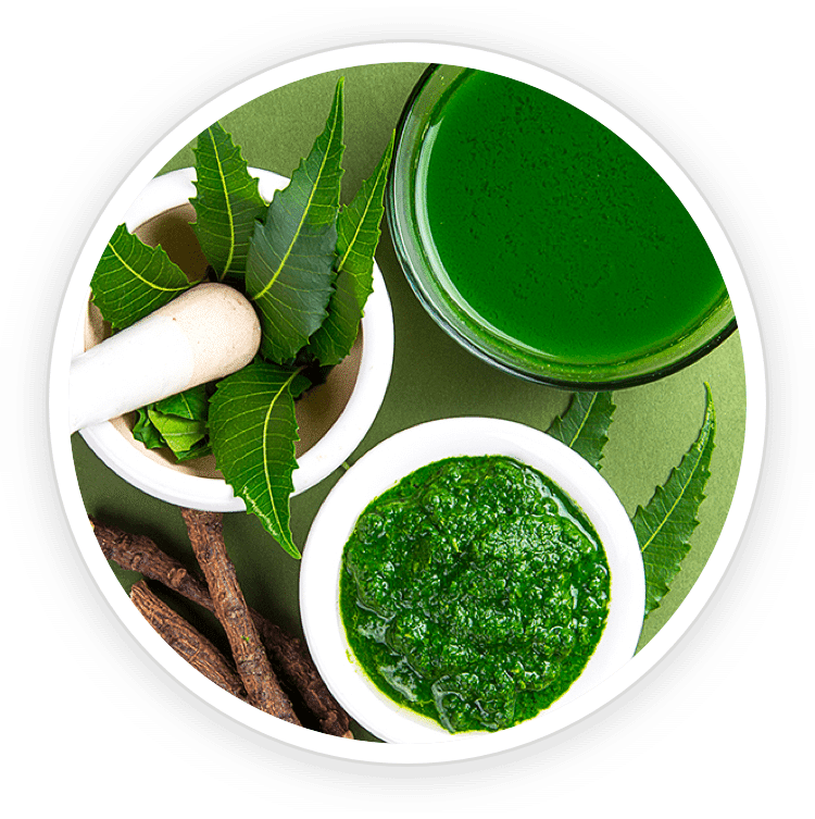 A circular top-down image of fresh green Neem leaves, a mortar and pestle with crushed neem paste, and herbal extracts.
